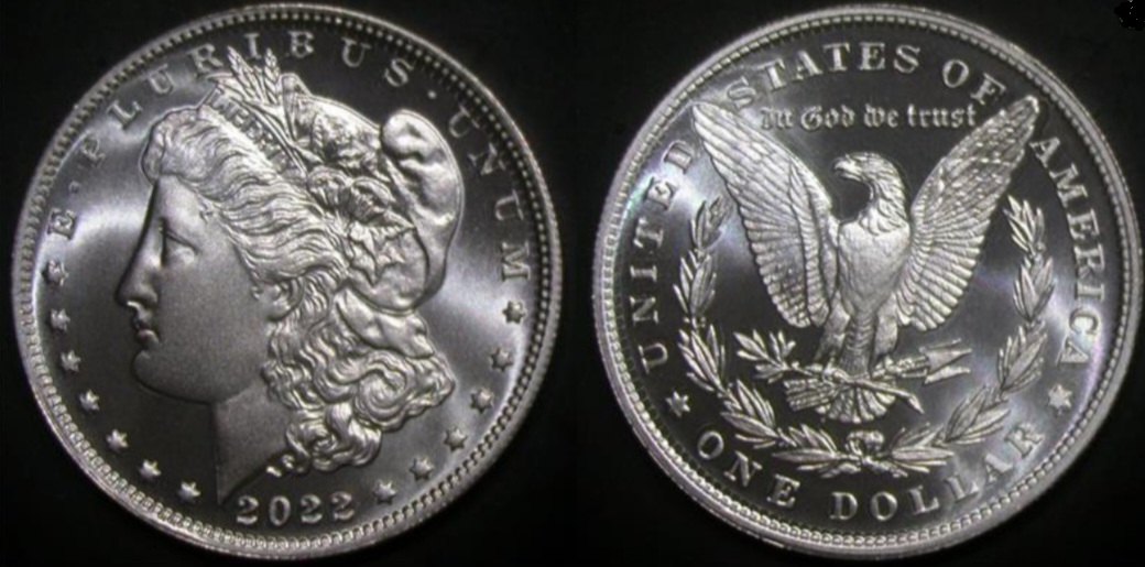 Post-A-Daniel-Carr-Fantasy-Coin/Token-If-You-Have-One.